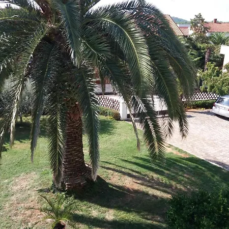 Summer House 2 Apartman *